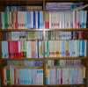 P1020375-s.jpg